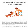 Требования к выгулу домашних животных!